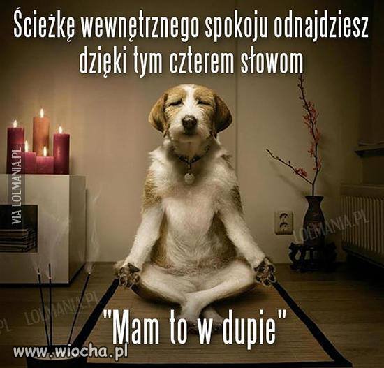 Spokój