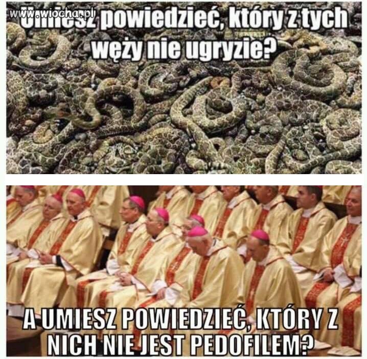 Wolę kontakt z jadowitymi wężami.