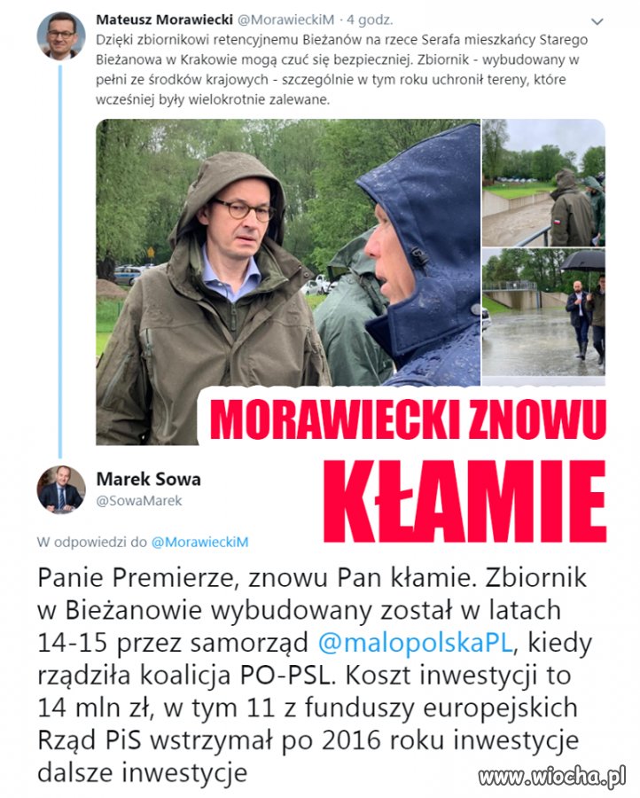 Oj rośnie kinol rośnie.
