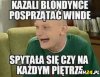 Na sobotni poranek