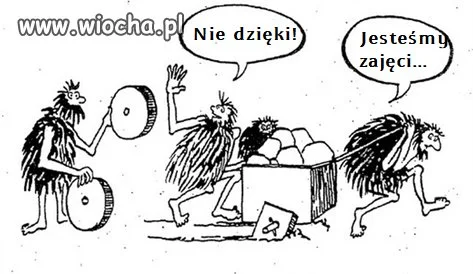 Muły