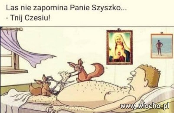 Mieszkańcy lasów pamiętają