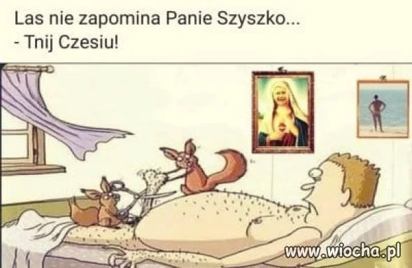 Mieszkańcy lasów pamiętają
