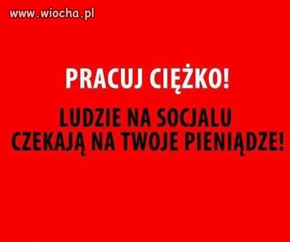 Elektorat czeka