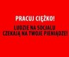 Elektorat czeka