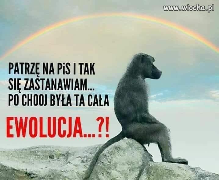 Też tak