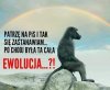 Też tak