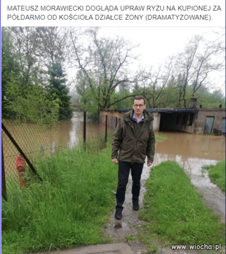 Z cyklu jak uprawiać ryz 