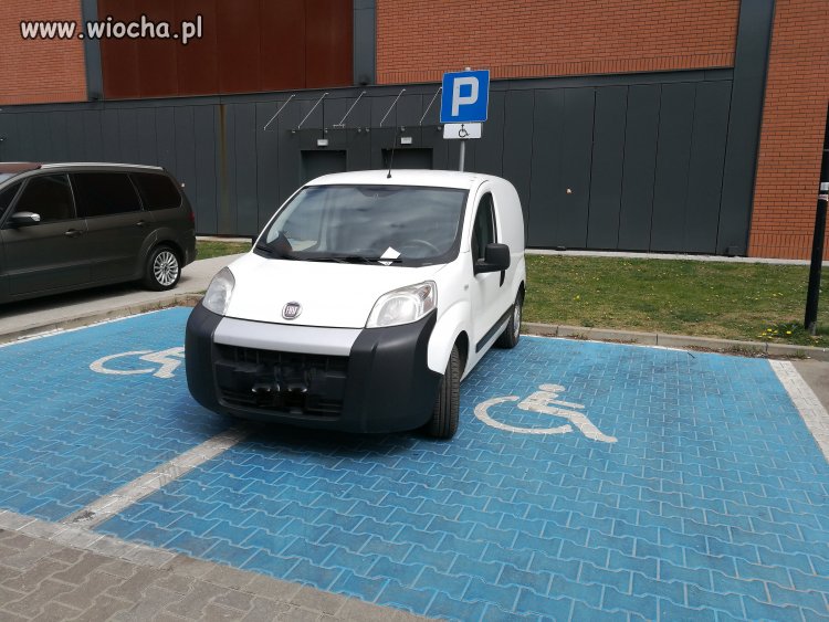 Mistrzowie parkowania i myślenia
