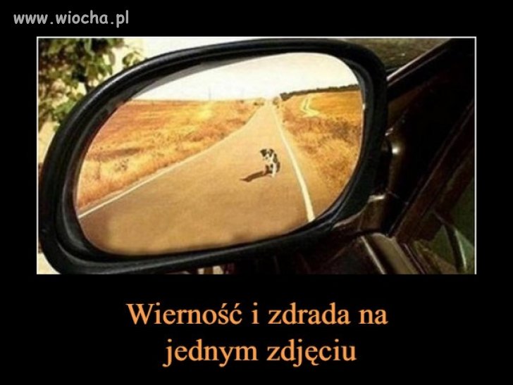 Smutne ale prawdziwe