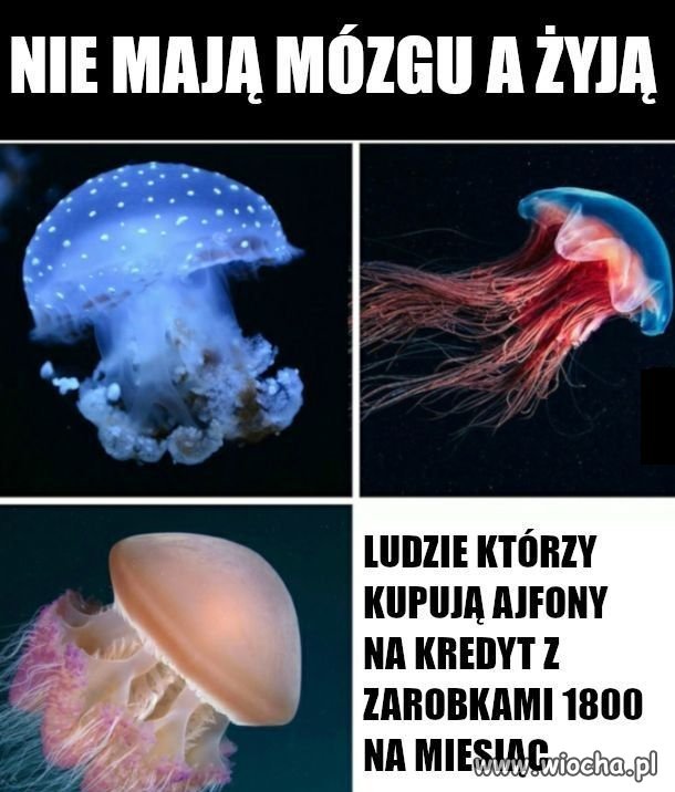 Taka prawda