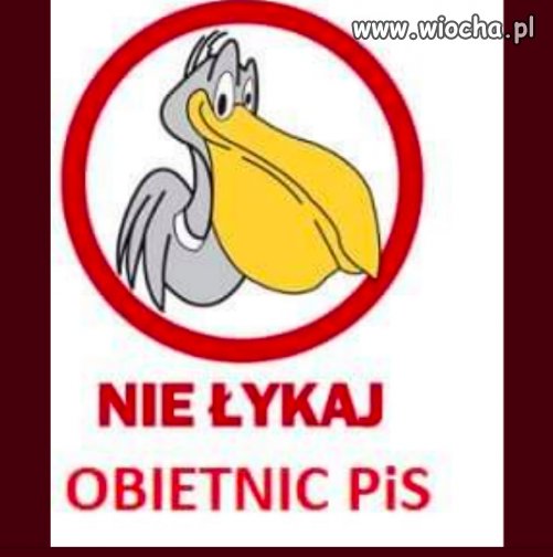 Nie bądź jak pelikan!
