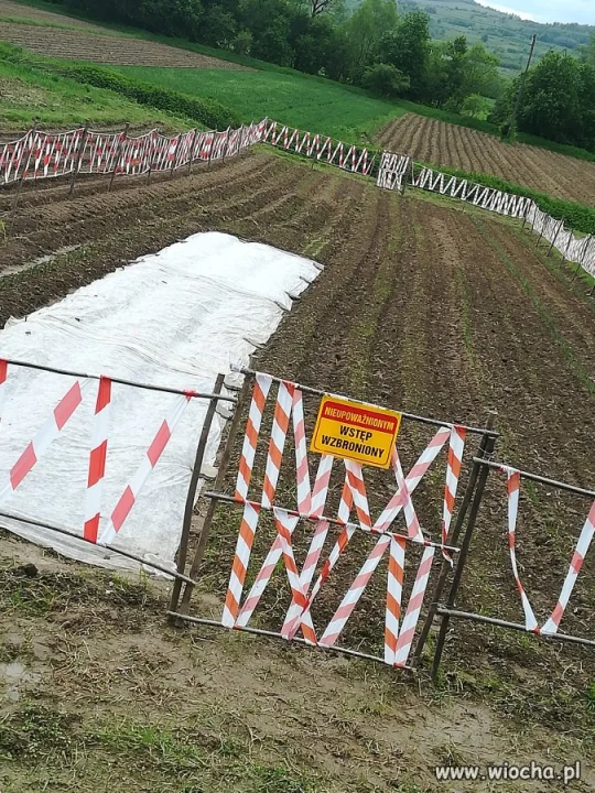 Uwaga na grządki sąsiada