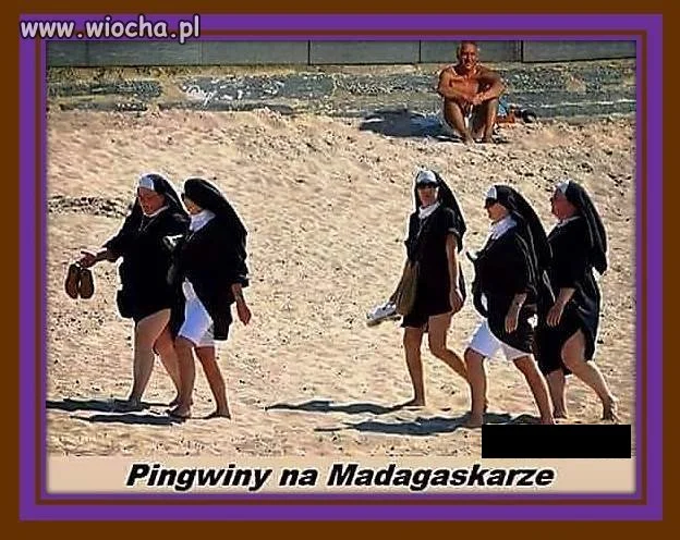 Laski z Bożej Łaski!