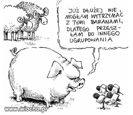 Kampania w toku