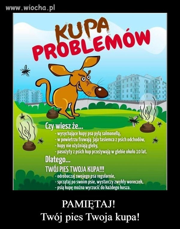 Kupa