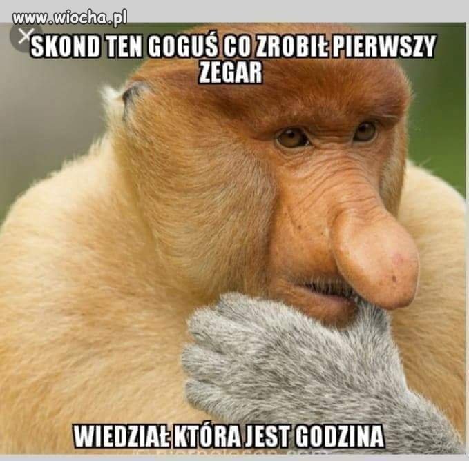 Oto jest