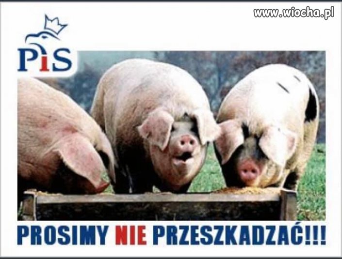 Taka prośba o to, żeby nas popierać, a nie przeszkadzać