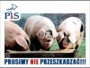 Taka prośba o to, żeby nas popierać, a nie przeszkadzać
