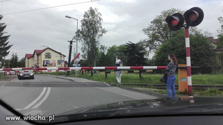 Cwaniaczek w słuchaweczkach