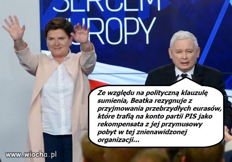 Tymczasem w polityce