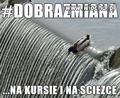 Cały czas...