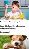 Reklama schroniska