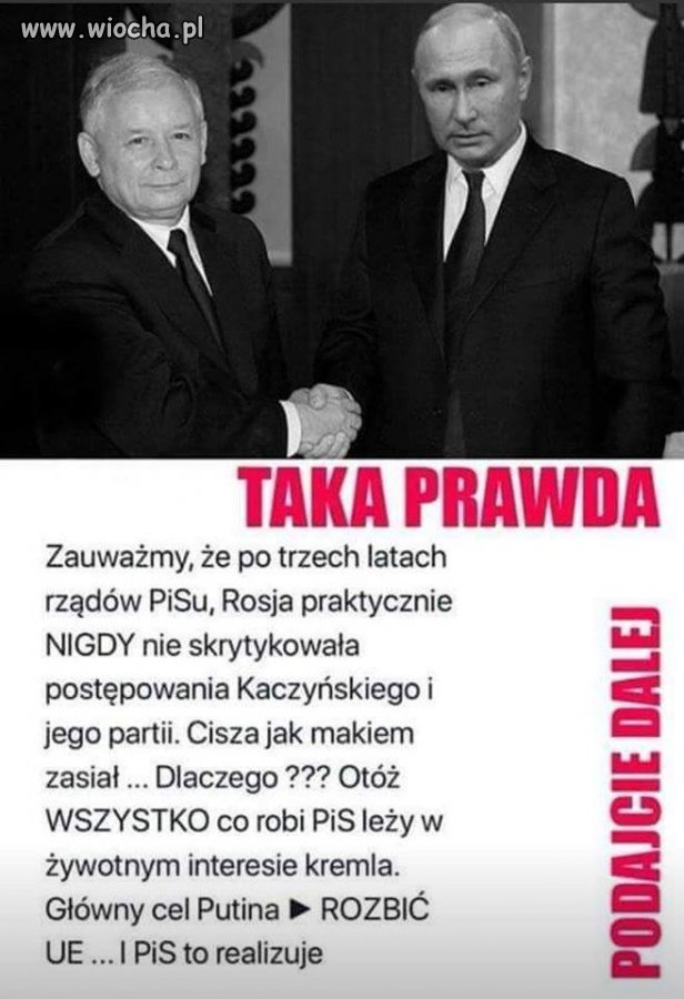 Prezes i jego