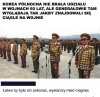 Odznaczenia na spodniach