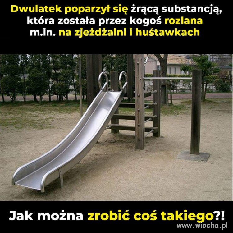 To się nie mieści w głowie!