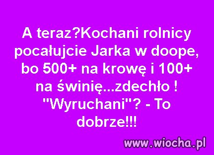 To było do przewidzenia
