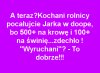 To było do przewidzenia