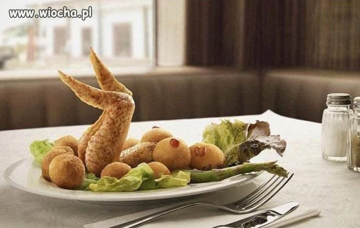 Laska na talerzu 