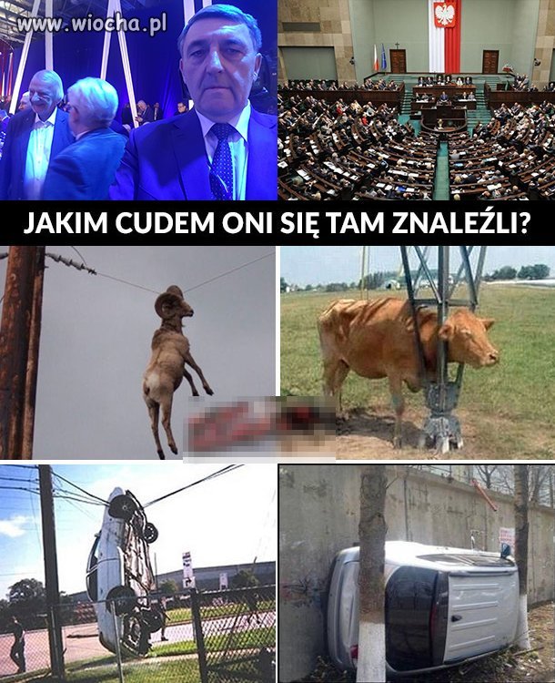 Jakim cudem Oni się tam znaleźli?