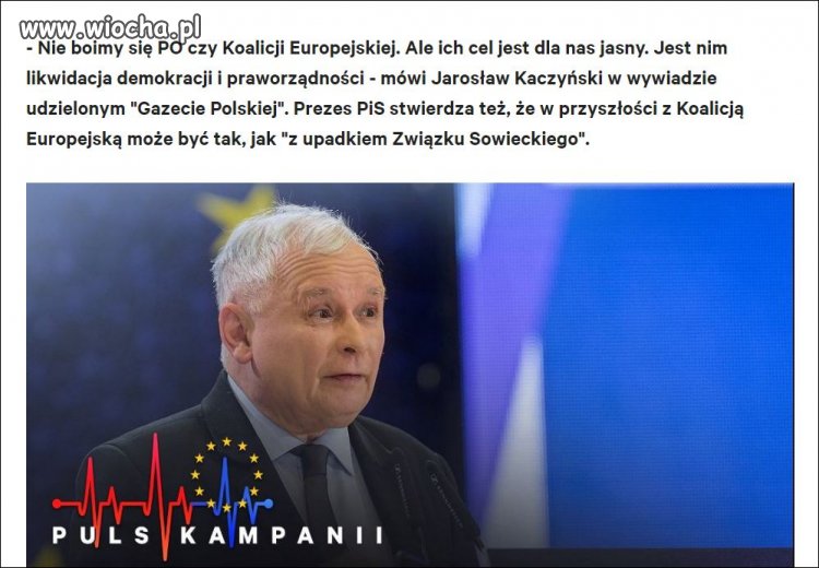 Czarnowidz