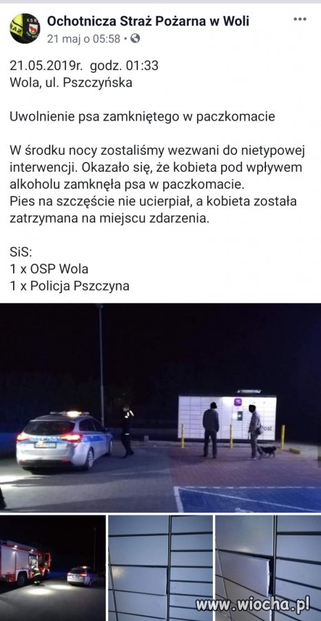 Głupota ludzka nie zna granic 