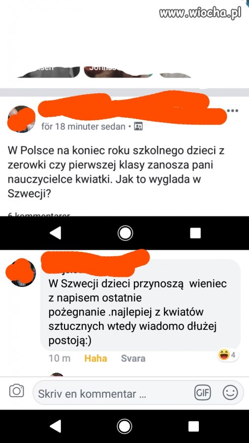 No to pięknie w tej Szwecji jest 