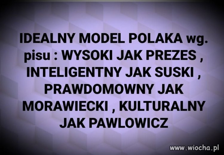Ideał według PiSu ...