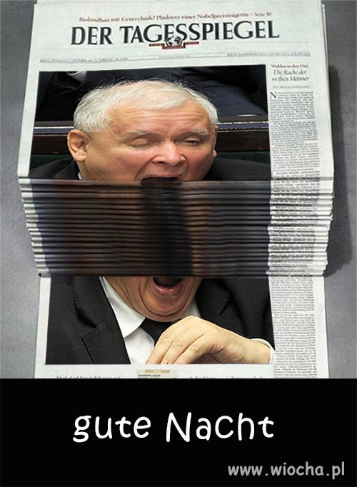 Czyżby Niemcom spodobał się Król Nocy?