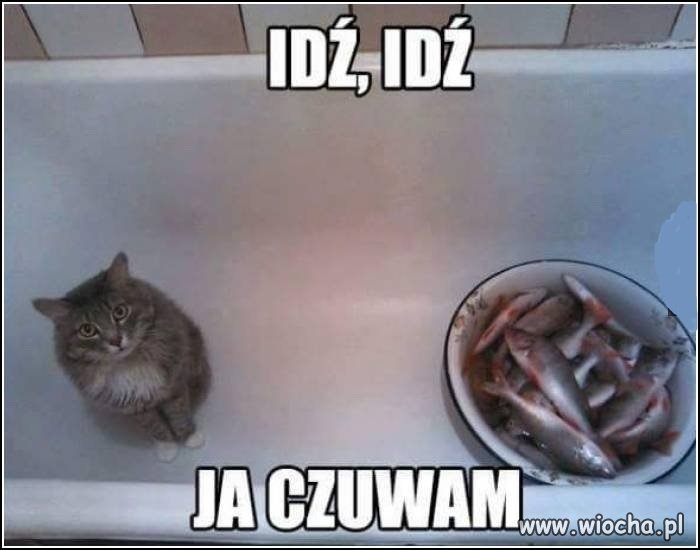 Najlepszy 