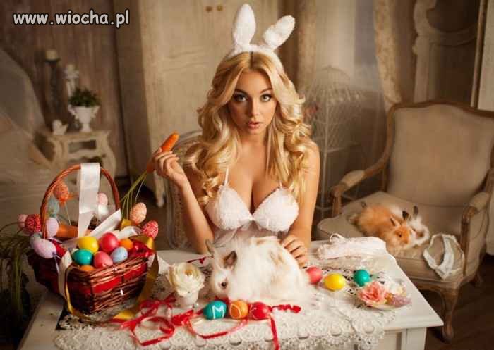 Bunny.