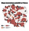 W podlaskim najbezpieczniej