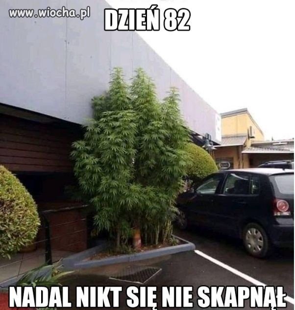 Najciemniej