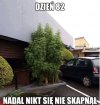 Najciemniej