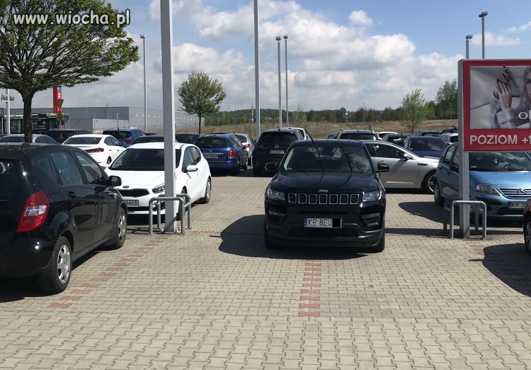 Nich plebs szuka miejsca, ja stoję na czterech