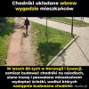 U nas w Polsce potrafimy zrobić skrót ze skrótu 