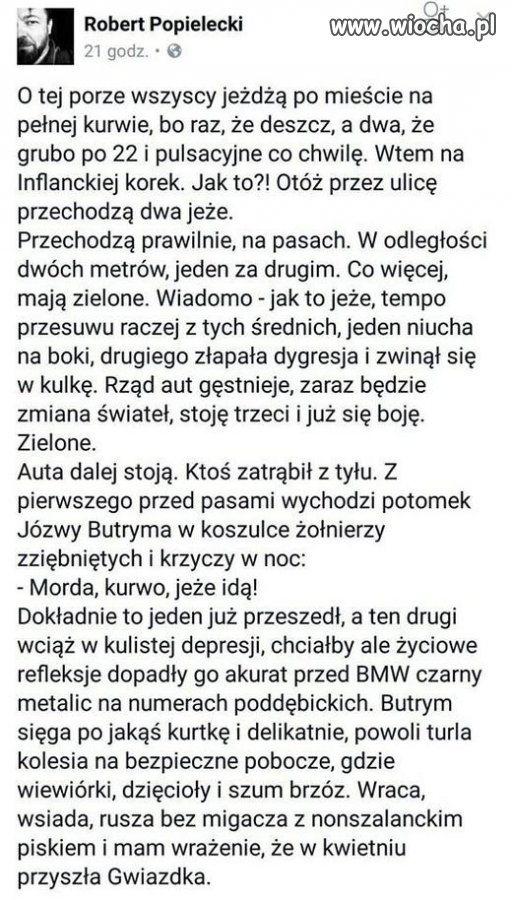 Jeże idą