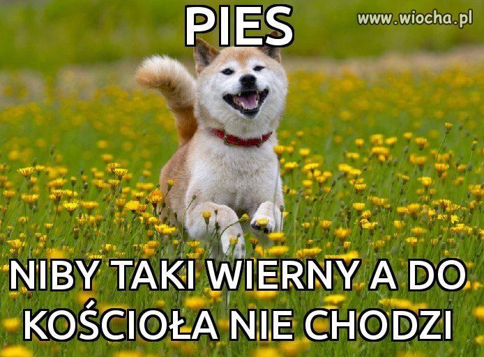 Jak to jest?...