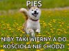 Jak to jest?...