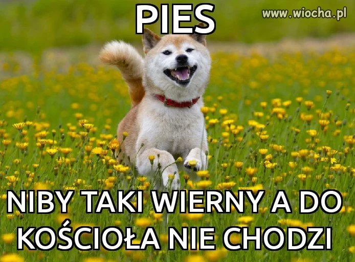 Jak to jest?...